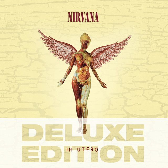 Heart-Shaped Box - Nirvana